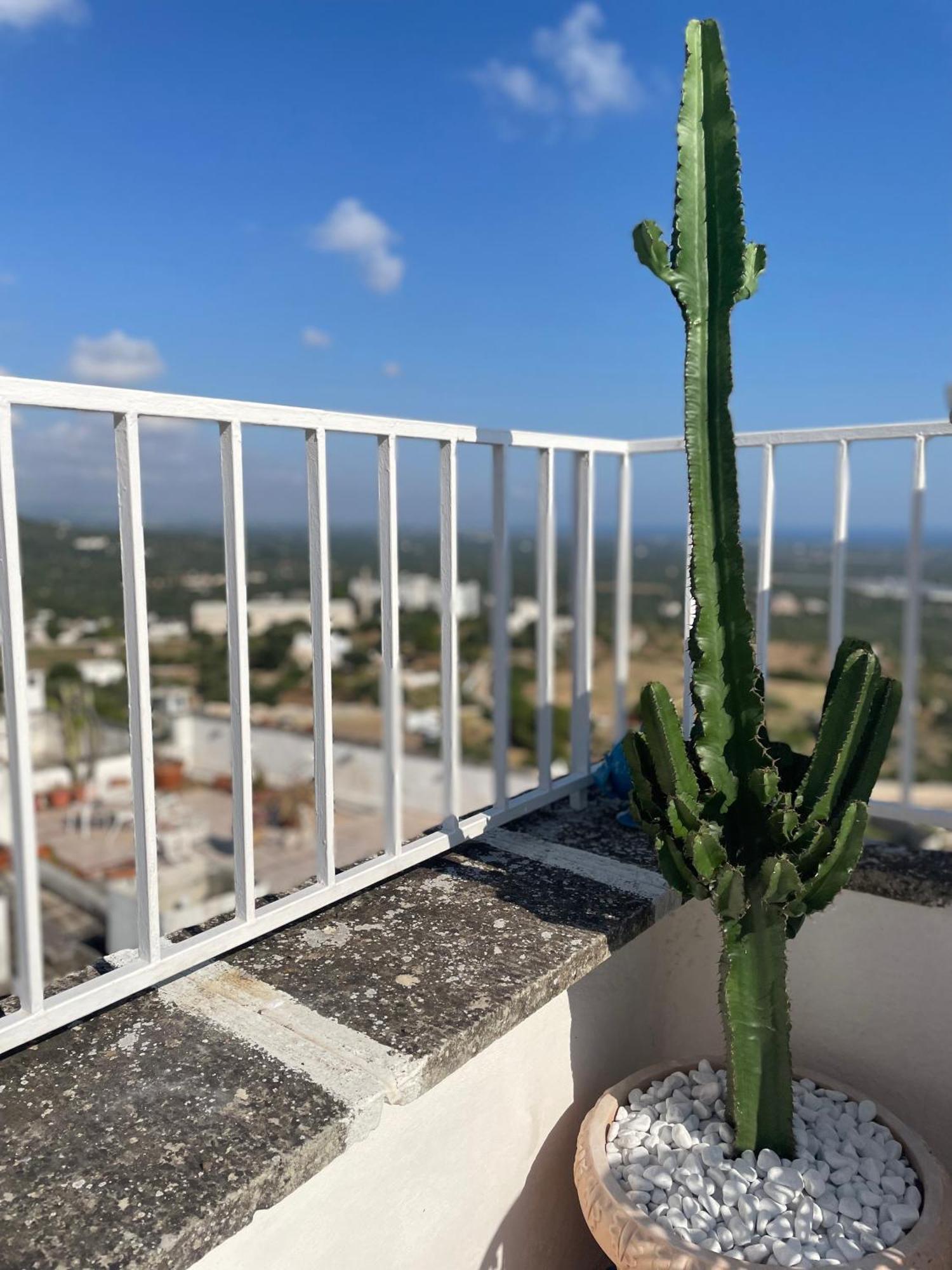 Villa Zinzu - By Tripostuni Esterno foto